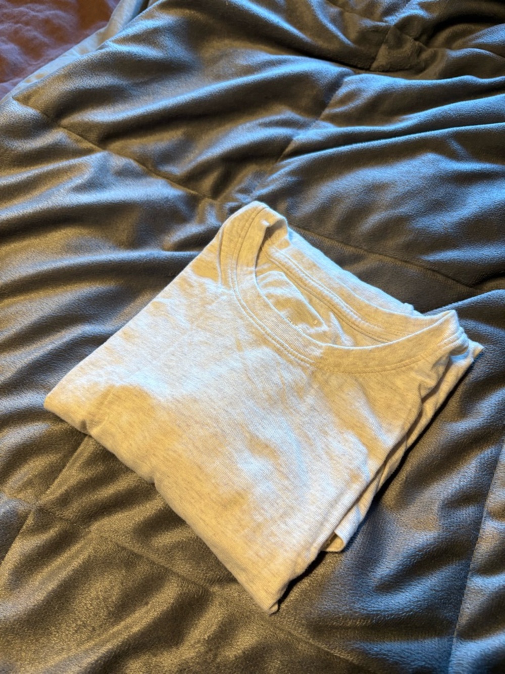 Everlane oatmeal slim long-sleeve crewneck tee